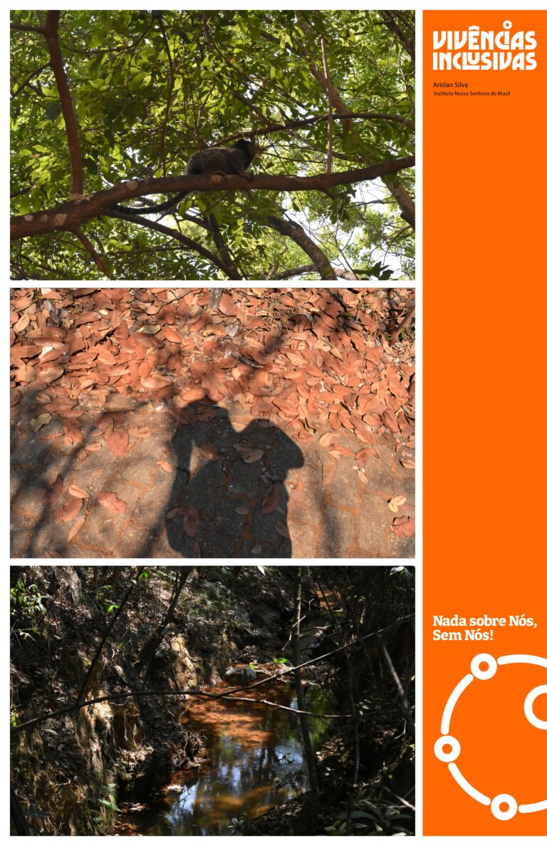 ARISLAN SILVA cópia