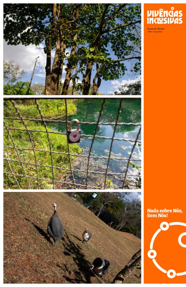 BRUNO DE OLIVEIRA cópia