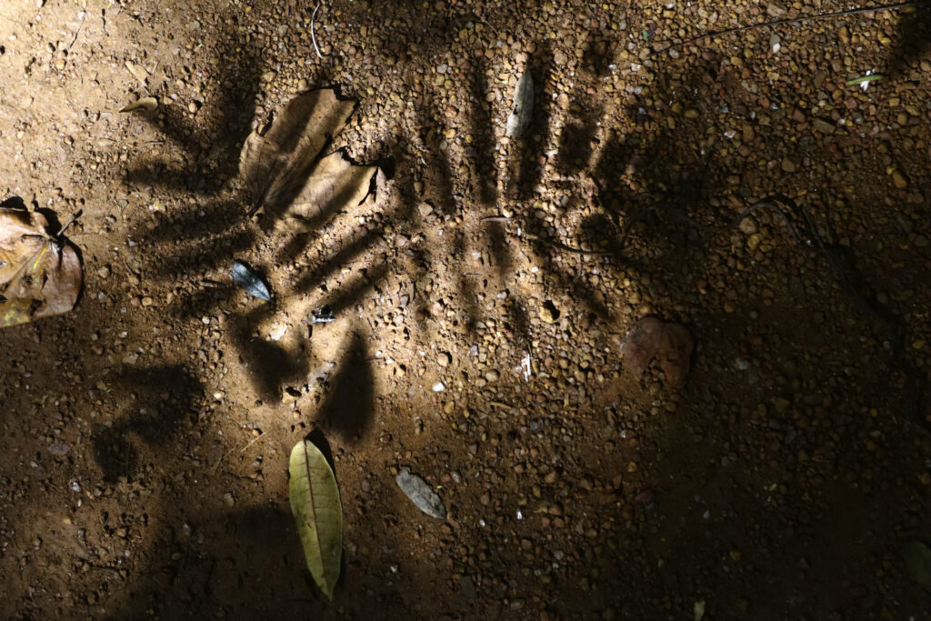 Fotografia horizontal. Ao fundo uma textura de terra e sobre ele uma sombra de duas folhas.